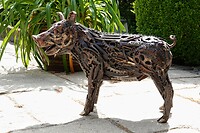 DSC07256-01