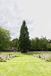 DSC07274-01