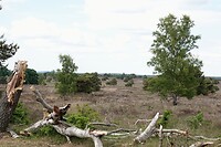 DSC07294-01