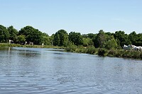 DSC07381-01