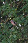 DSC07388-01