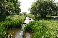 DSC07394-01