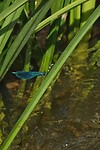 DSC07397-01