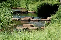 DSC07399-01