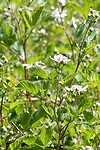 DSC07402-01