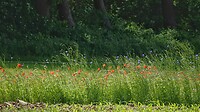 DSC07404-01
