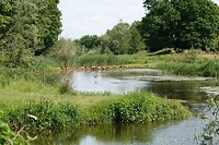 DSC07413-01