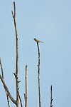 DSC07408-01