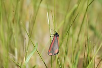 DSC07415-01