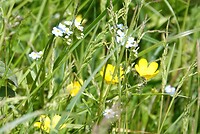 DSC07417-01