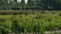 DSC07418-01