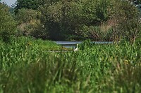 DSC07422-01