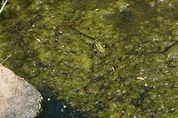DSC07423-01