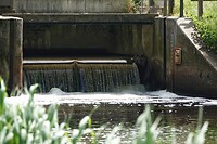 DSC07427-01