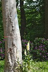 DSC07463-01