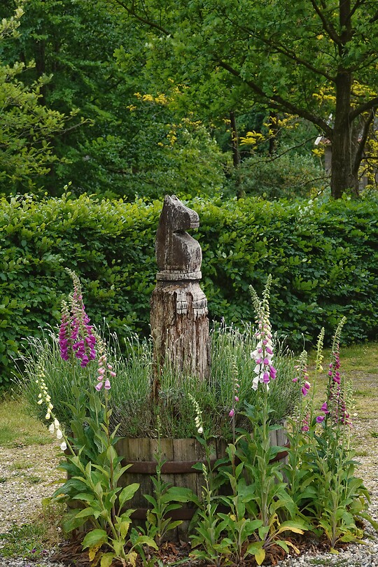 DSC07466-01