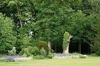 DSC07468-01