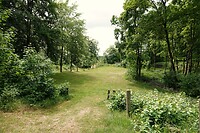 DSC07472-01