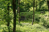 DSC07473-01