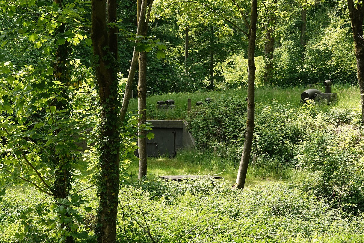 DSC07473-01