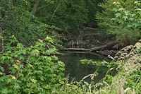 DSC07474-02