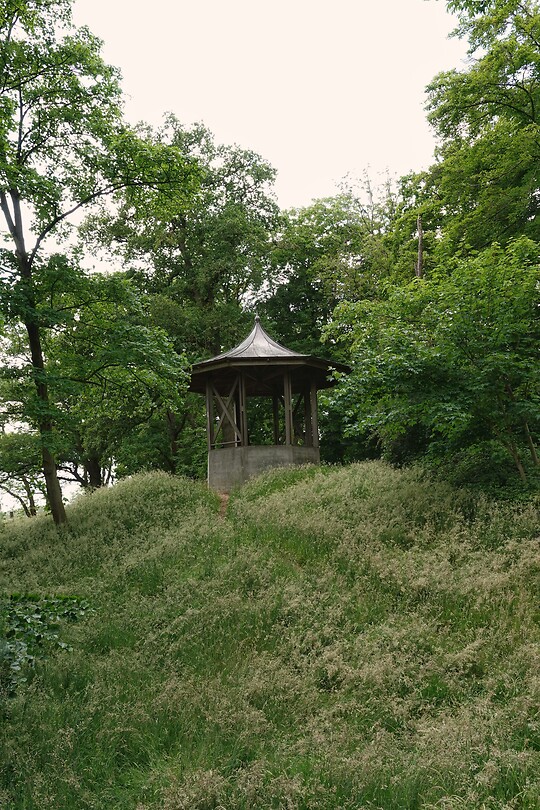 DSC07475-01