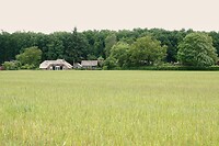 DSC07498-01