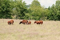 DSC07500-01