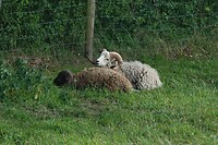 DSC07502-01