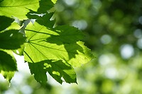 DSC07503-01