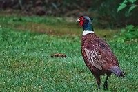 DSC07509-01