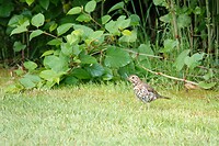 DSC07512-01
