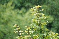 DSC07529-01