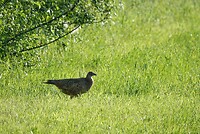 DSC07650-01