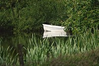 DSC07642-01
