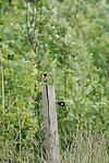 DSC07634-01