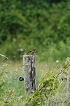 DSC07628-01