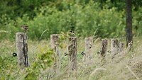DSC07626-01