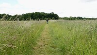 DSC07606-01