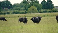 DSC07605-01