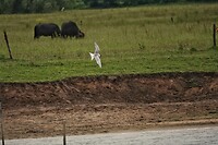 DSC07600-01