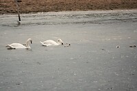 DSC07594-01