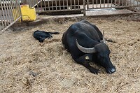 DSC07578-01