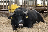 DSC07571-01