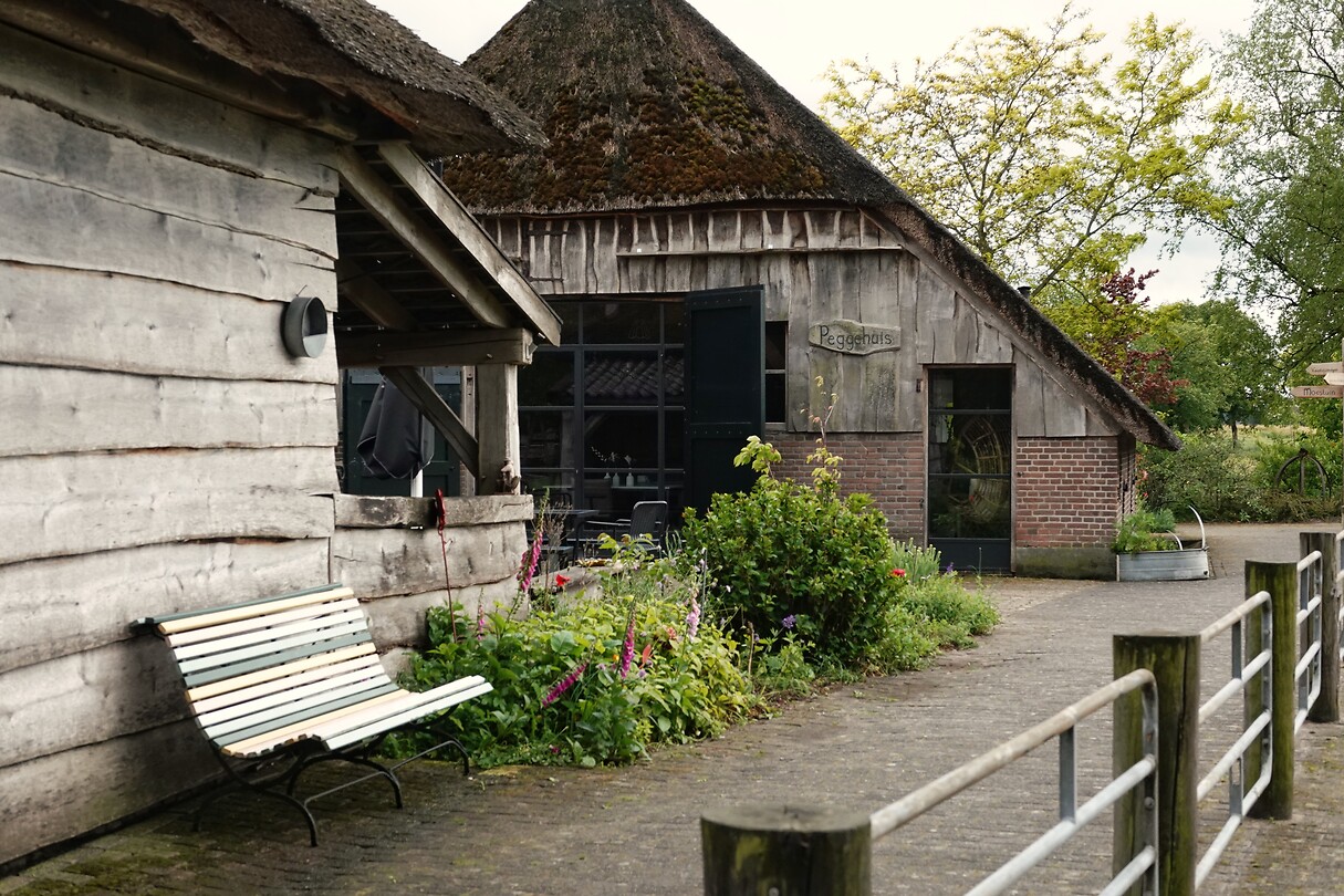 DSC07538-01