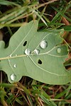 DSC07535-01