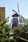 DSC08338-01