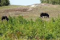 DSC08312-01