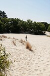 DSC08308-01