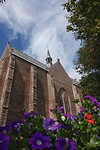 DSC08303-01